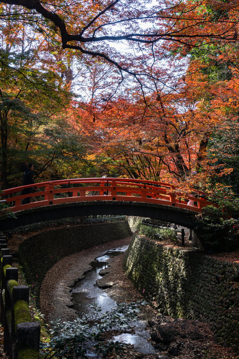北野天満宮の御土居のもみじ苑にある鶯橋と紅葉した木々