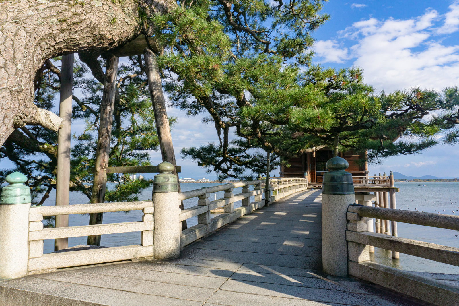 琵琶湖に面する浮御堂への参道の石橋と樹齢の古い松の木