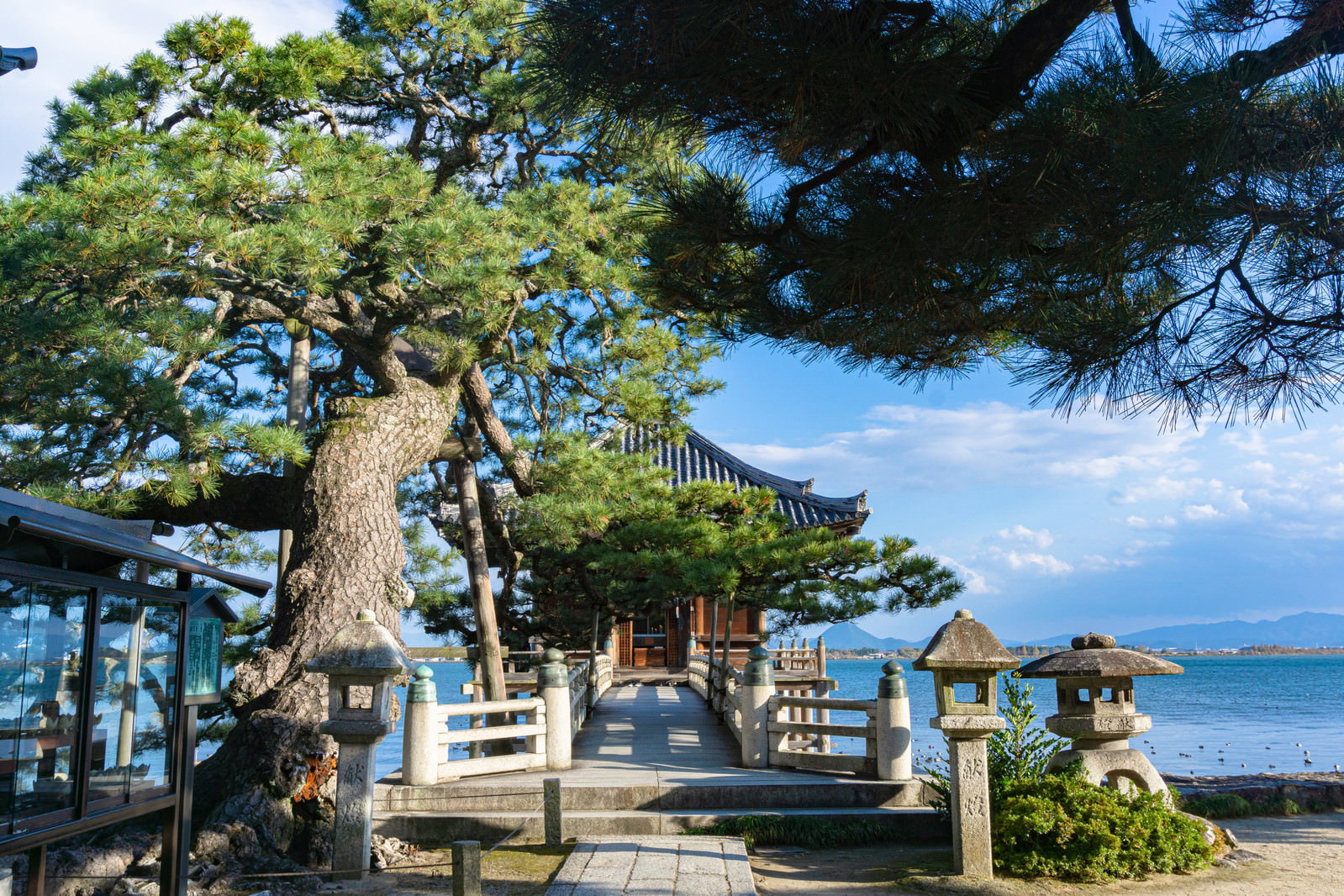 境内の立派な松の木と石橋の先に建つ浮御堂の風景