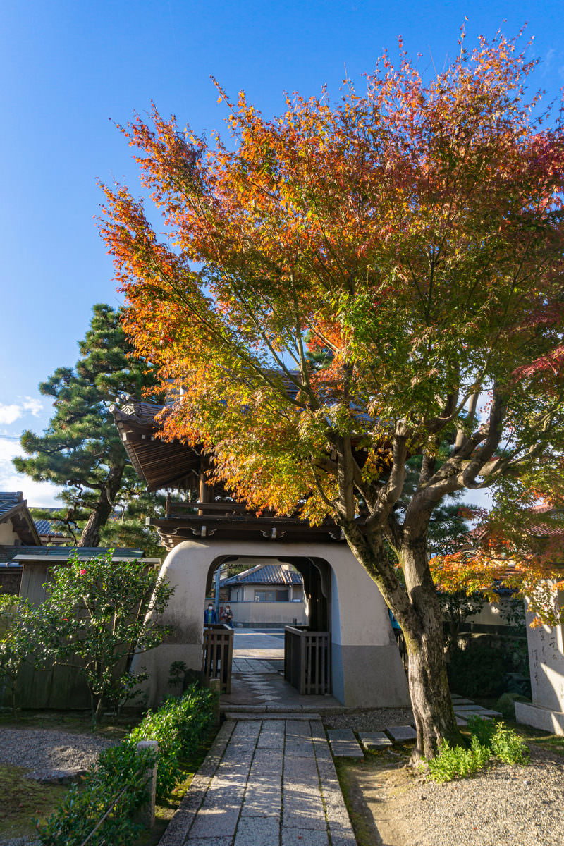 境内の紅葉と山門、阿波野青畝の句碑が写る秋の風景