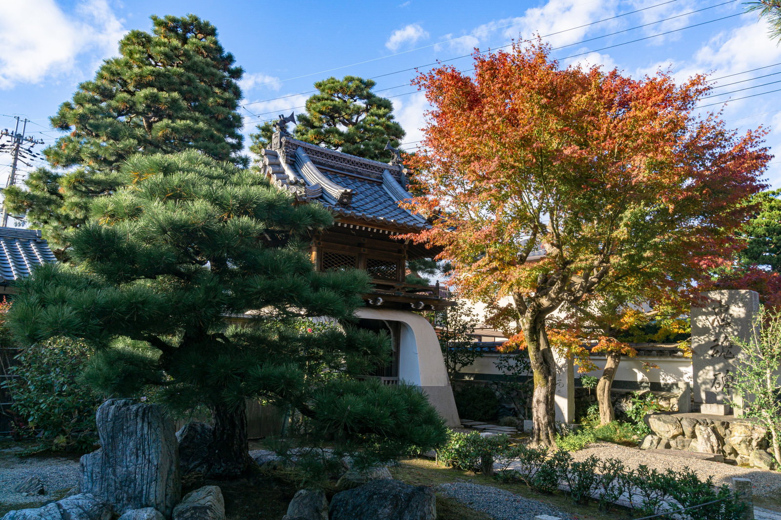 境内から見た山門周辺の風景、松の木と紅葉のもみじが美しい日本庭園