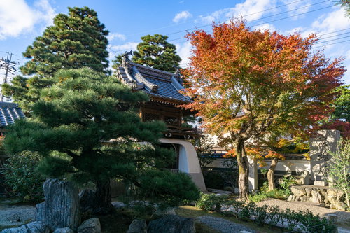 境内から見る山門周辺