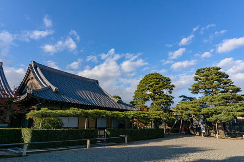 軒にそって長く枝を伸ばす境内に立つ見事な松の木