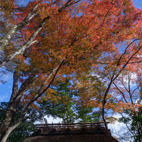 小さな茅葺屋根とその上を飾る美しい紅葉の写真