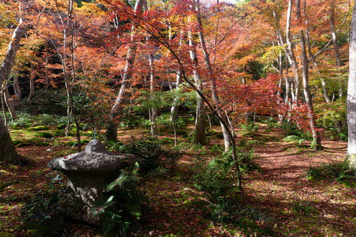 平家物語にも登場する悲恋の尼寺に訪れる秋