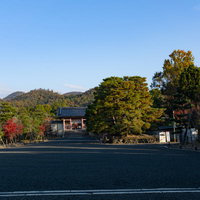 行き交う人もまだ少ない早朝の仁王門から中門へと続く砂利道の写真