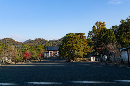 行き交う人もまだ少ない早朝の仁王門から中門へと続く砂利道