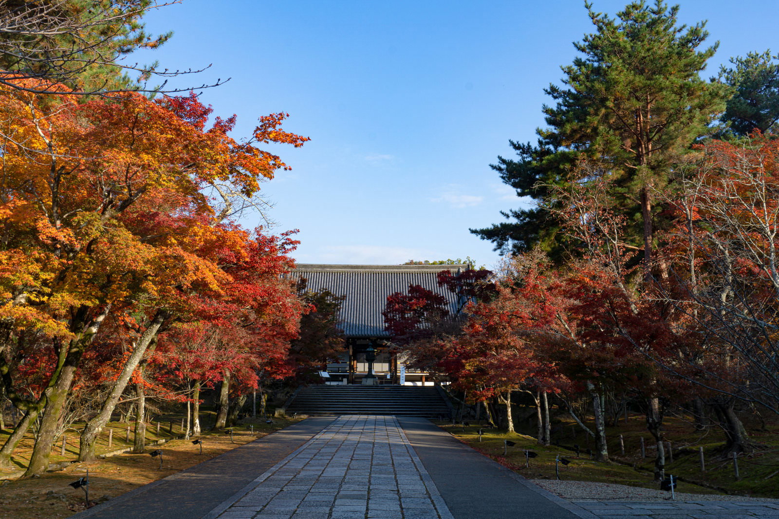 石畳の参道沿いに紅葉が広がり、奥に仁和寺の金堂が見える秋の境内風景