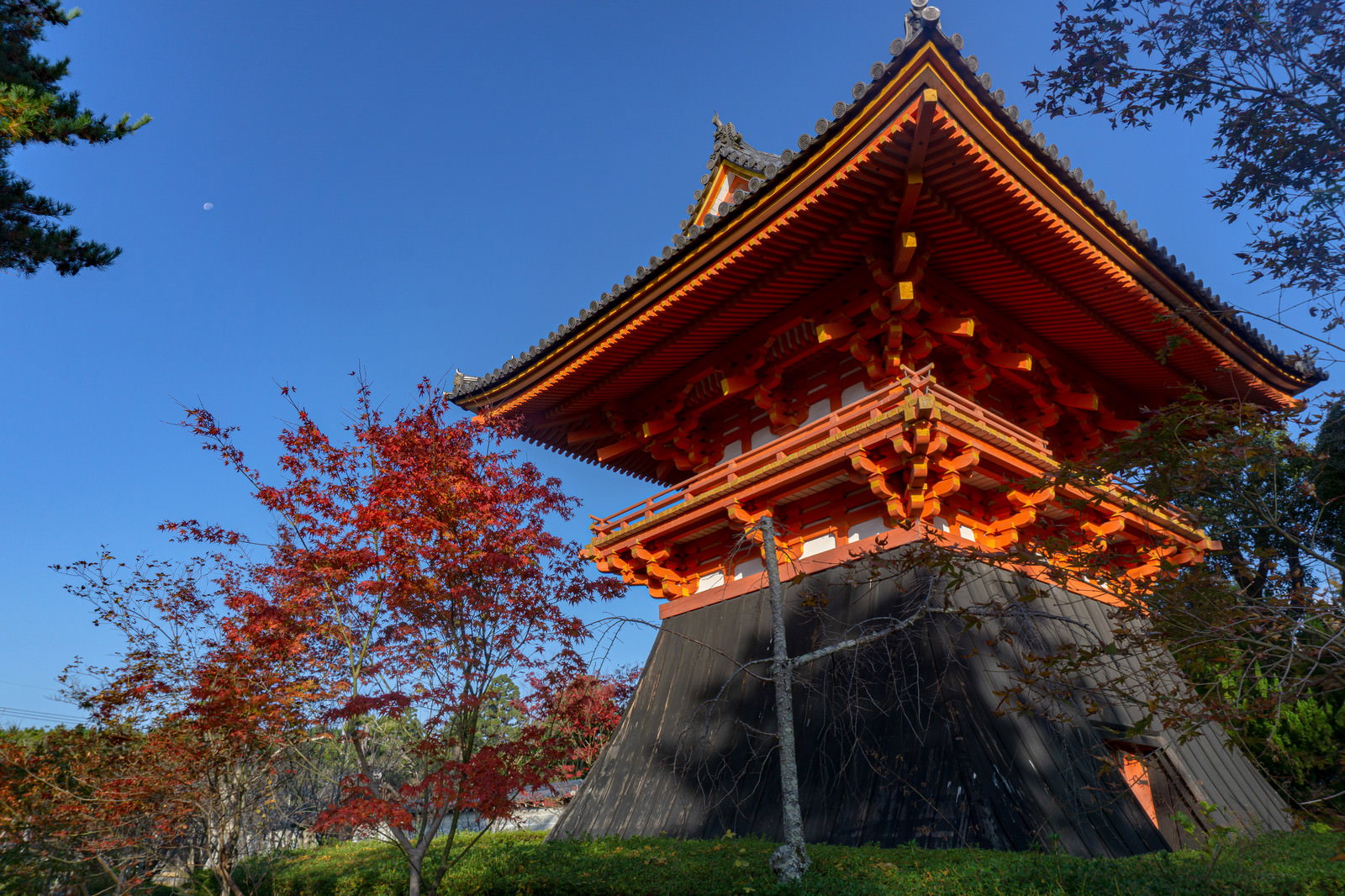 青空を背景に朱色の鐘楼が建つ仁和寺の境内と紅葉した木々