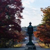 金堂前から中門を望むの写真