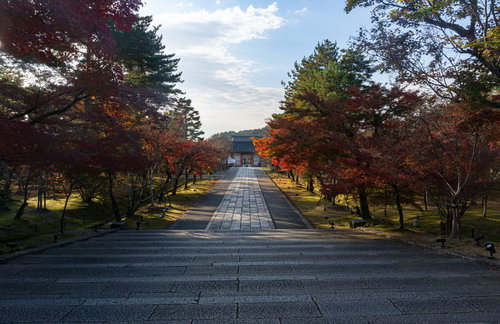 金堂前の階段上より見た中門へと続く石畳
