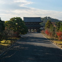 中門の石段上から見る仁王門の写真