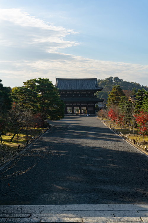 中門の石段上から見る仁王門