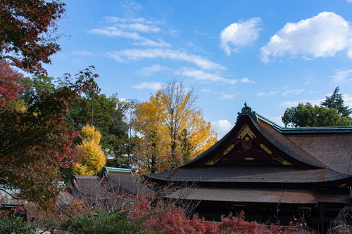 御土居の展望所から眺める国宝 本殿