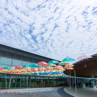 カラフルな傘の列とひつじ雲の空の写真