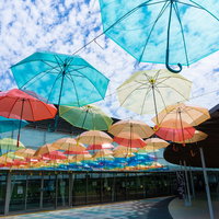 梅雨の晴れ間の綺麗な空を背に風に踊るアンブレラスカイの写真