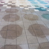 地面に彩る傘の影の写真