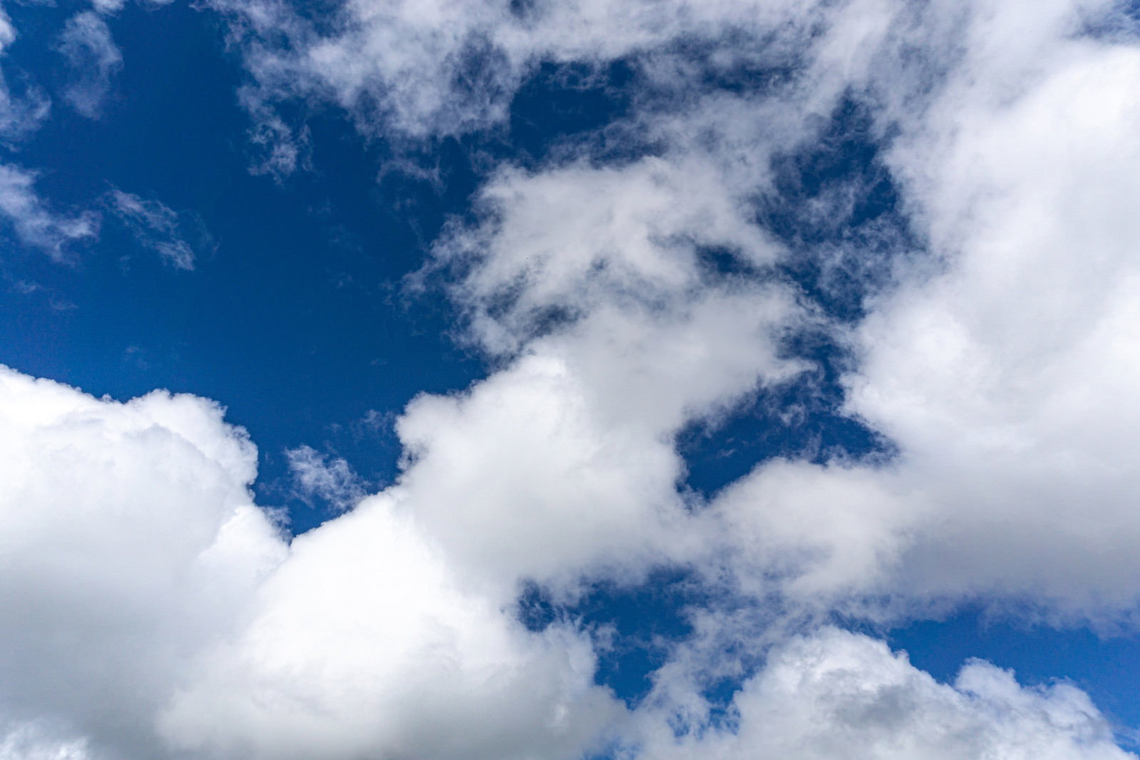 青い空に白い大きな雲が浮かんでいる自然の風景