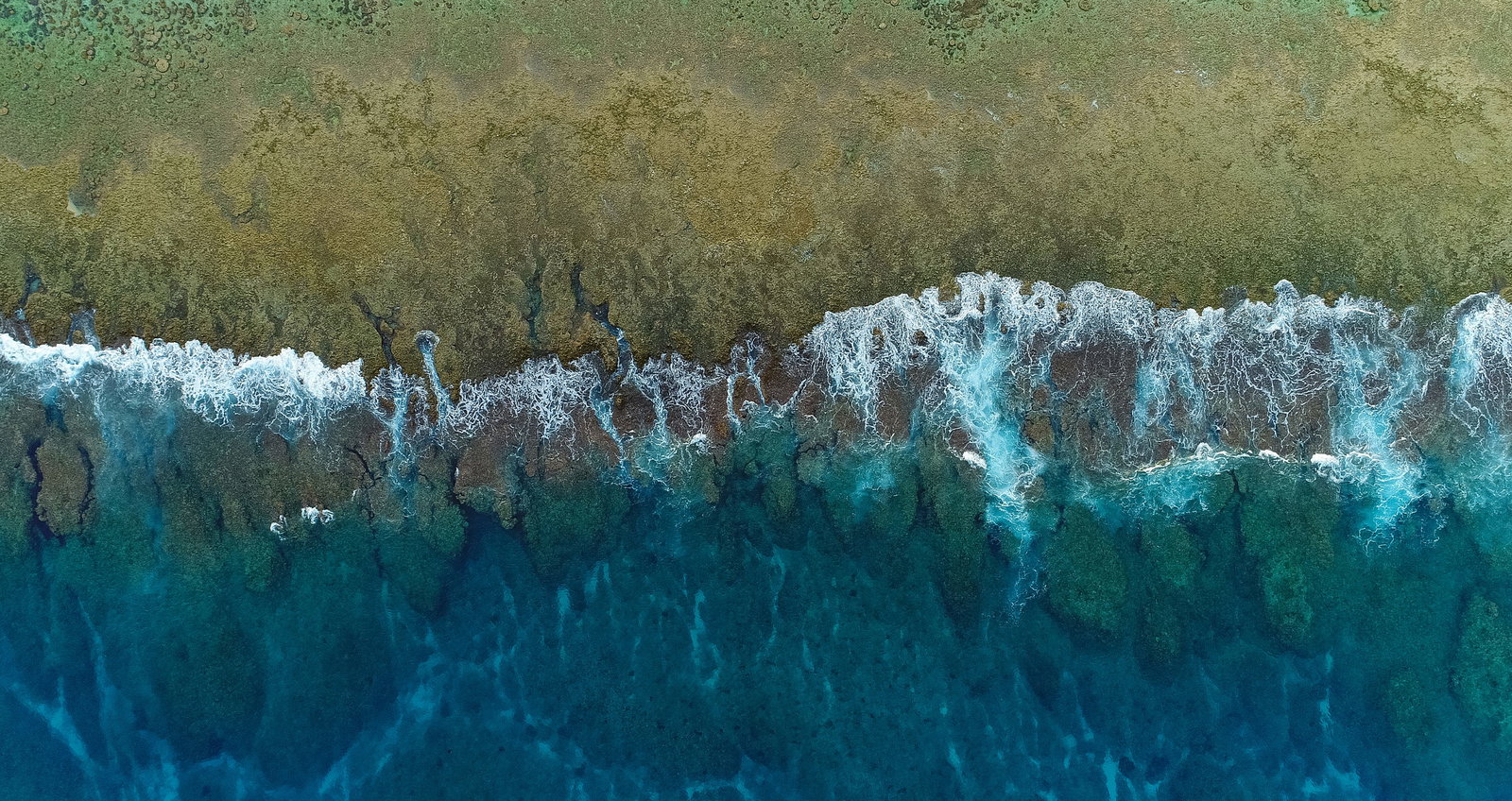 ぱくたそのトップページの背景画像