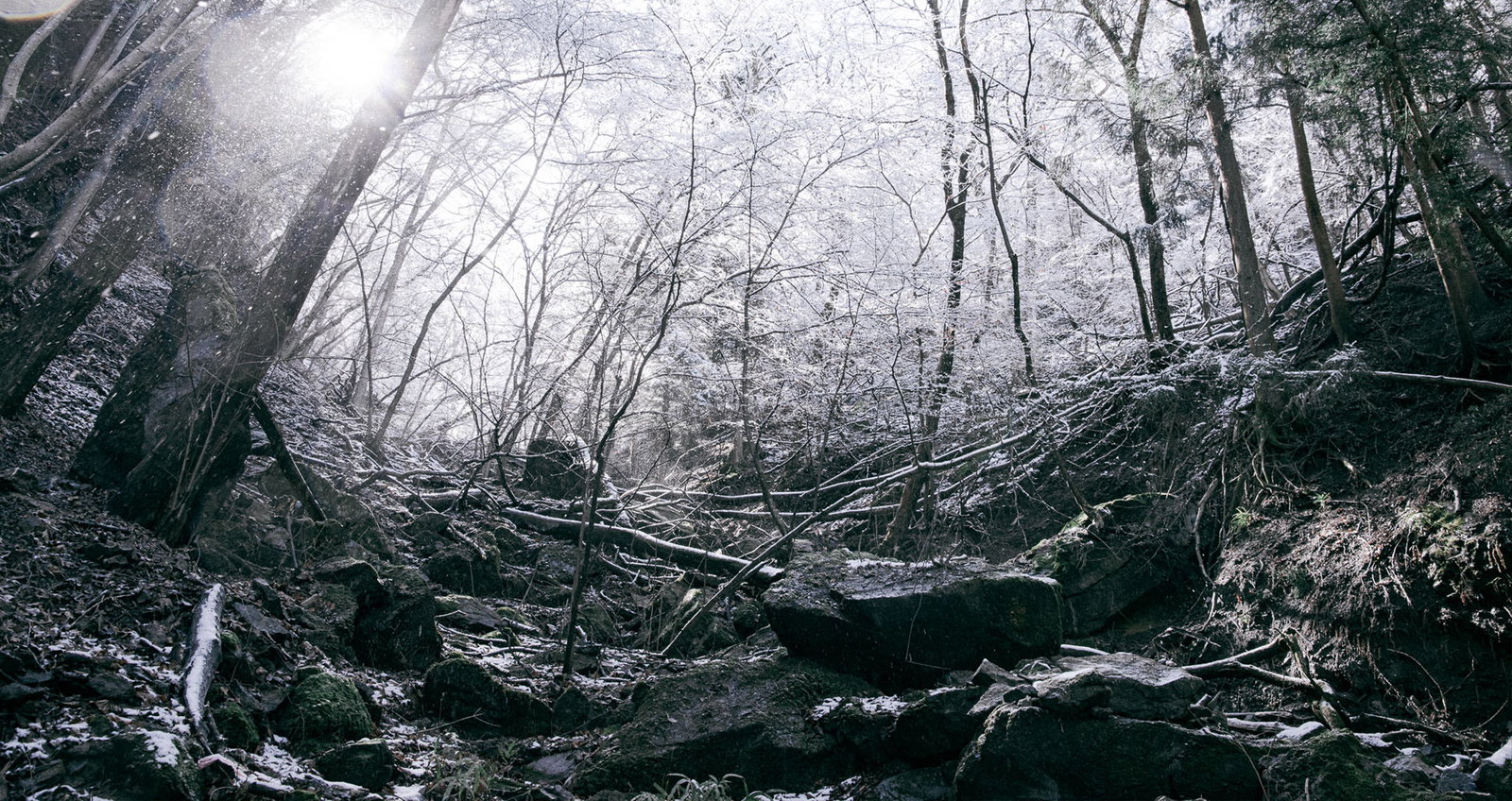 ぱくたそのトップページの背景画像