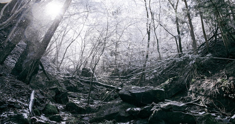 ぱくたそのトップページの背景画像