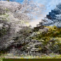 自然・風景・動物のタグ一覧